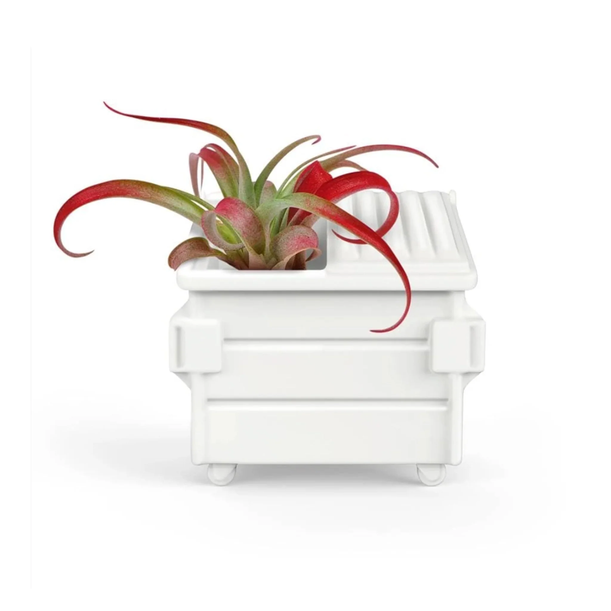 Fancy Plants Dumpster
