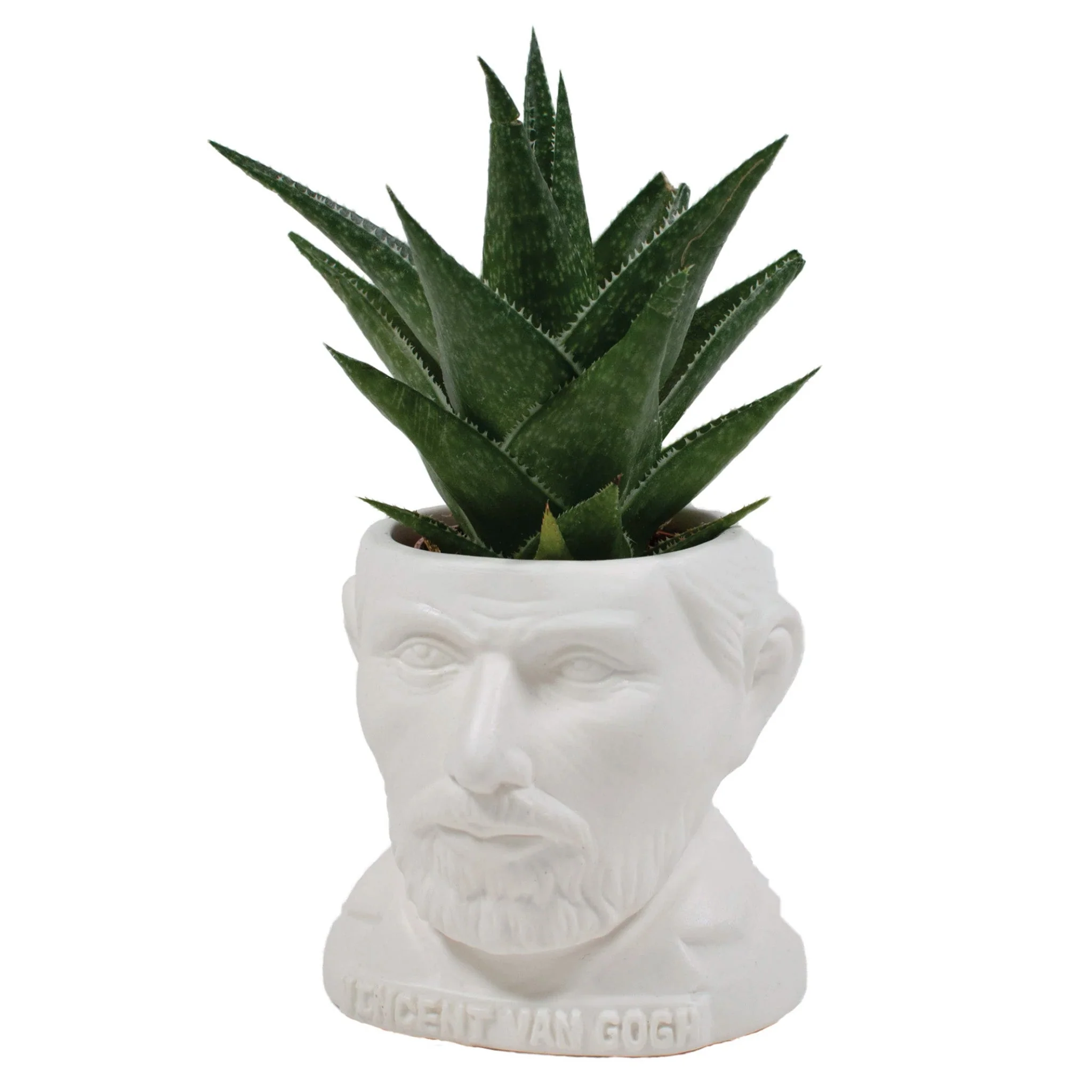 Vincent Van Gogh Planter